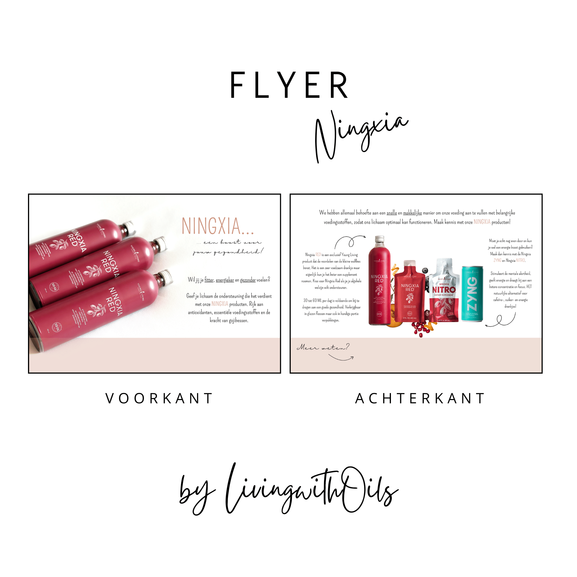 Flyer Ningxia