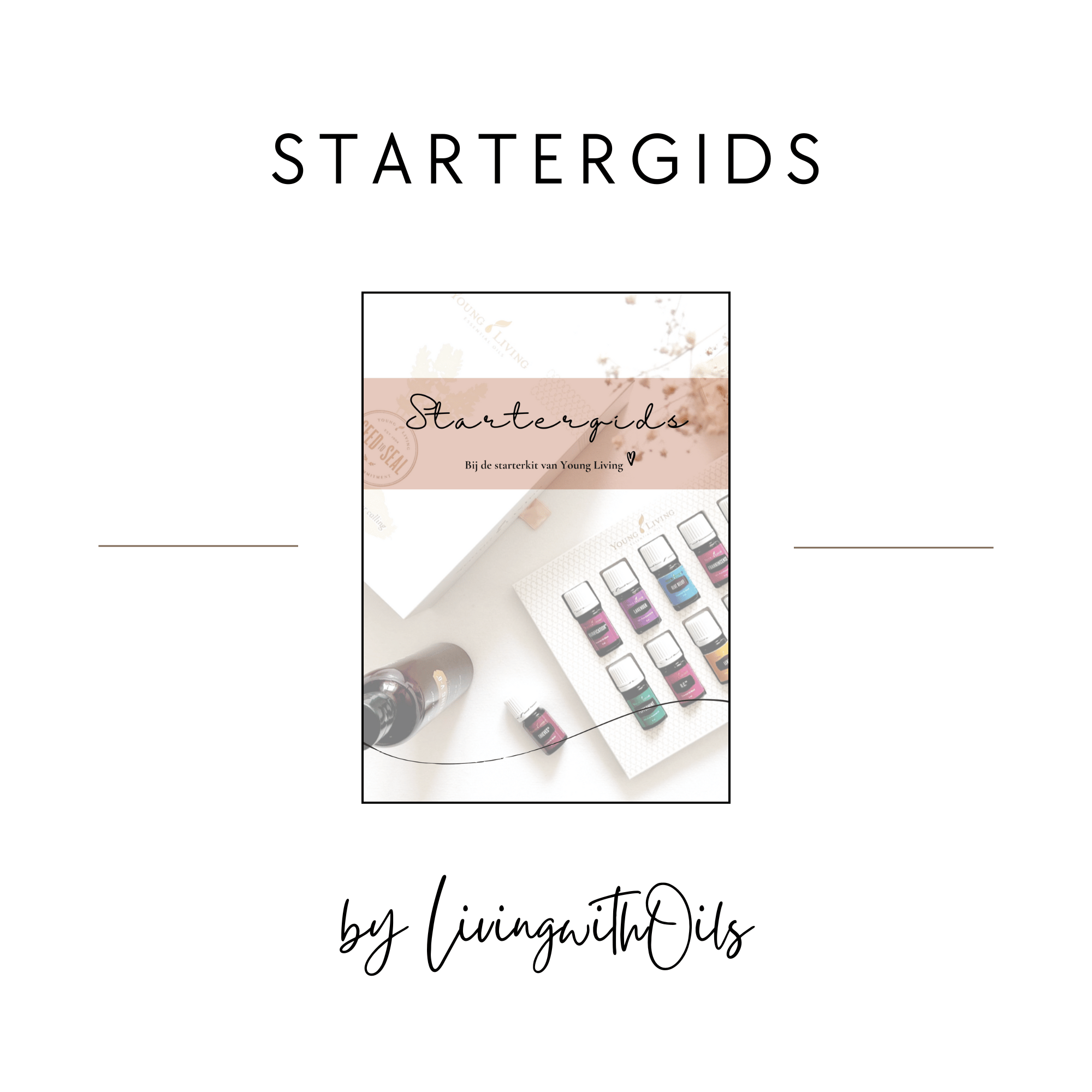 Startergids