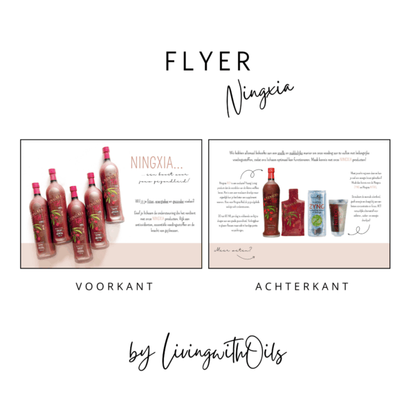 Flyer Ningxia